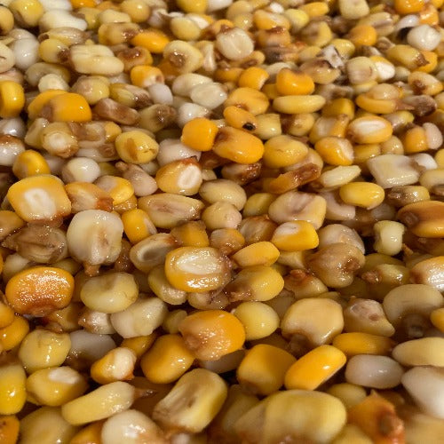 Nixtamal Yellow Maiz